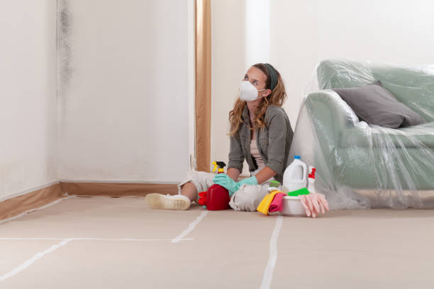 Reliable Black Mold Remediation contractor in Pine Brook, NJ by Mold Remediation HQ